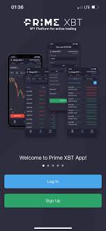 Everything You Need to Know About PrimeXBT Contest Everything You Need to Know About PrimeXBT Contest